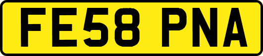 FE58PNA