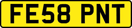 FE58PNT