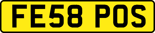 FE58POS