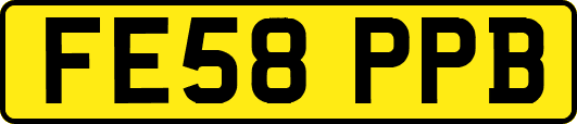 FE58PPB