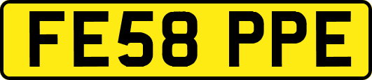 FE58PPE
