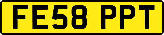 FE58PPT