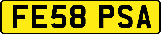 FE58PSA
