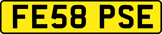 FE58PSE