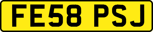 FE58PSJ