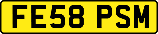 FE58PSM
