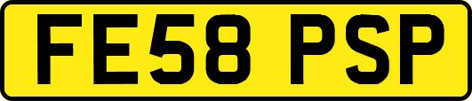 FE58PSP