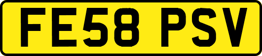 FE58PSV