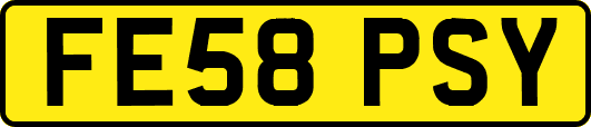 FE58PSY