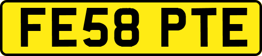 FE58PTE