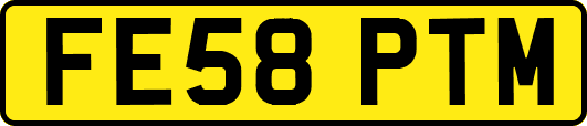 FE58PTM