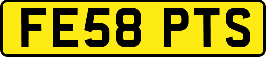 FE58PTS