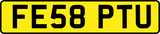 FE58PTU