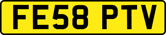FE58PTV