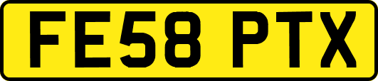 FE58PTX