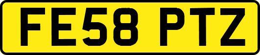 FE58PTZ