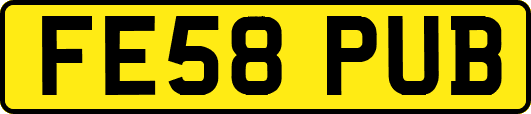 FE58PUB