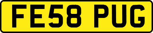 FE58PUG