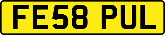 FE58PUL