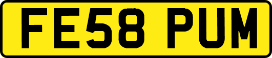 FE58PUM