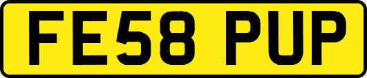 FE58PUP