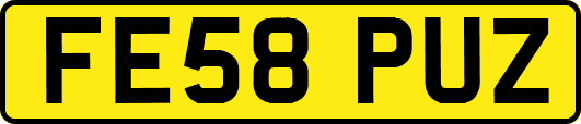 FE58PUZ