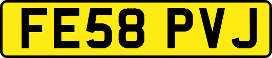 FE58PVJ