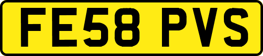 FE58PVS