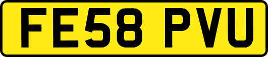 FE58PVU