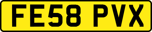FE58PVX