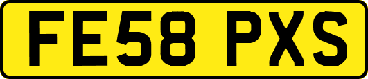 FE58PXS