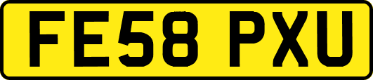 FE58PXU