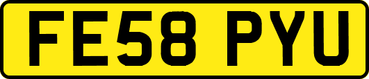 FE58PYU