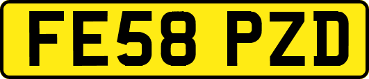 FE58PZD