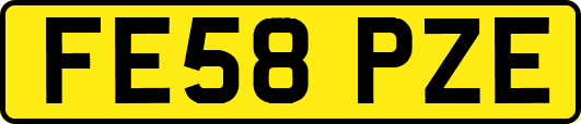 FE58PZE