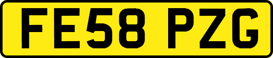 FE58PZG