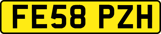 FE58PZH