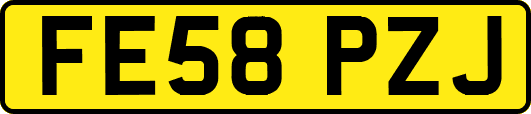 FE58PZJ
