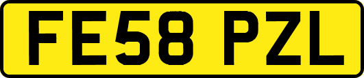 FE58PZL