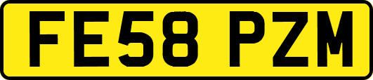 FE58PZM