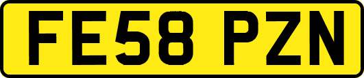FE58PZN