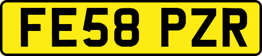 FE58PZR