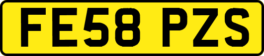FE58PZS