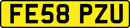 FE58PZU