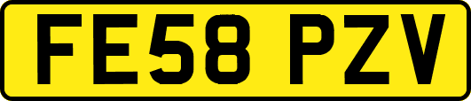 FE58PZV