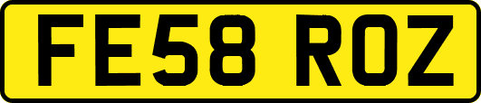 FE58ROZ