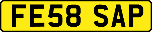 FE58SAP