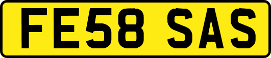 FE58SAS