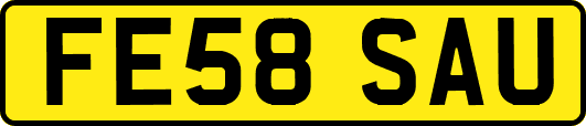 FE58SAU