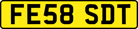 FE58SDT